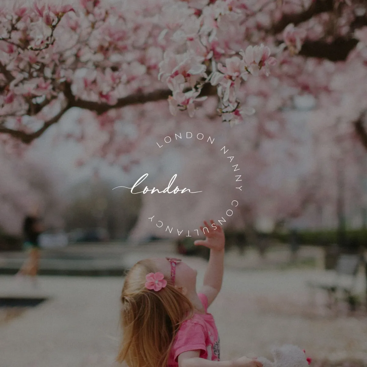 Dream Wild Studio, Brand Design, Branding, Brand Identity, Logo Design for Nanny Agency Dream Wild Studio, Brand Design, Branding, Brand Identity, Logo Design for Nanny Agency